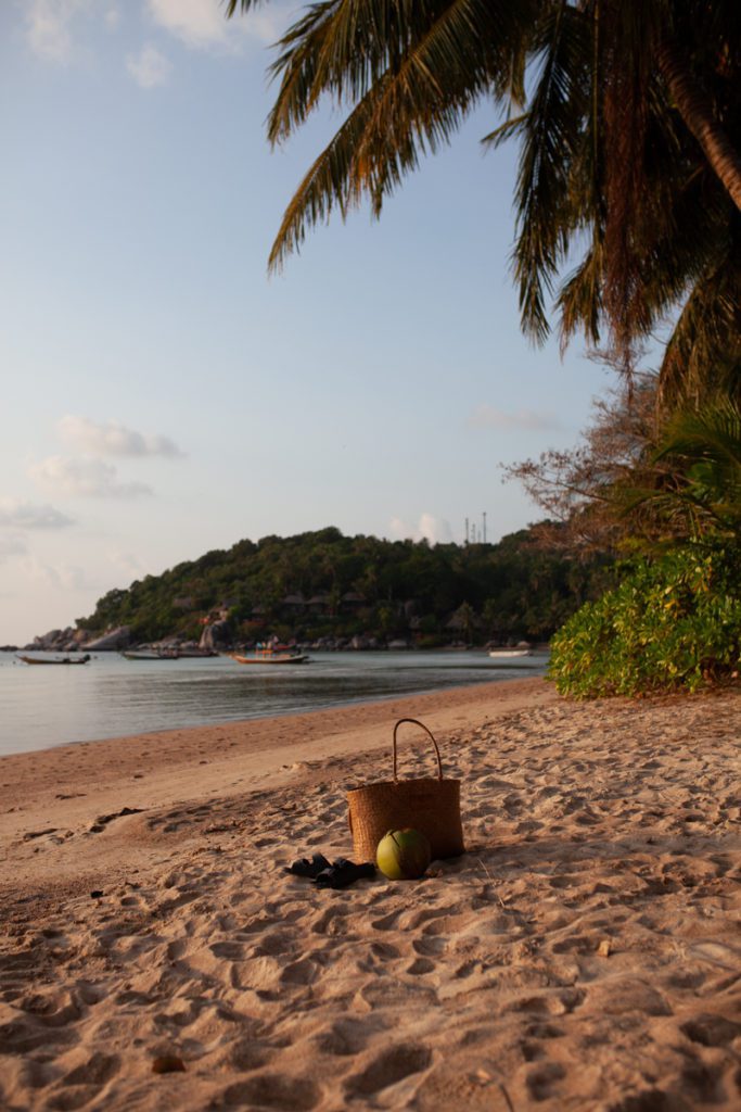bag a coconut on beach in thailand