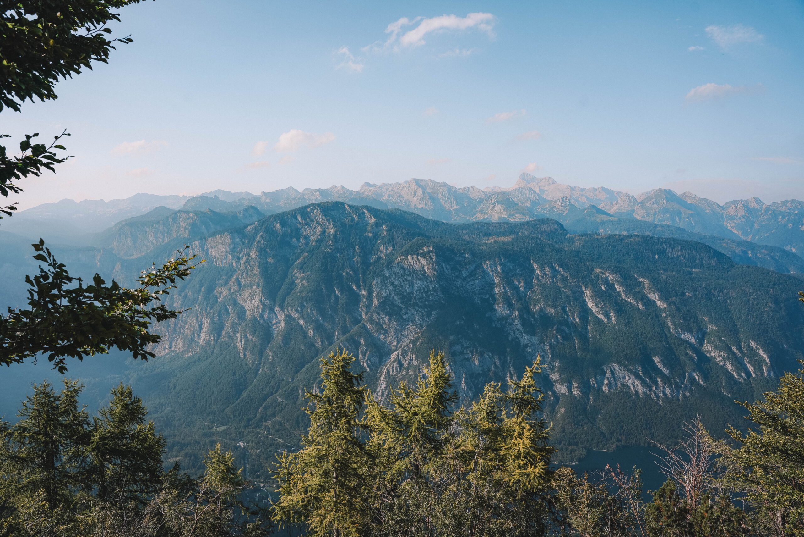 julian alps mountains with trees in slovenia