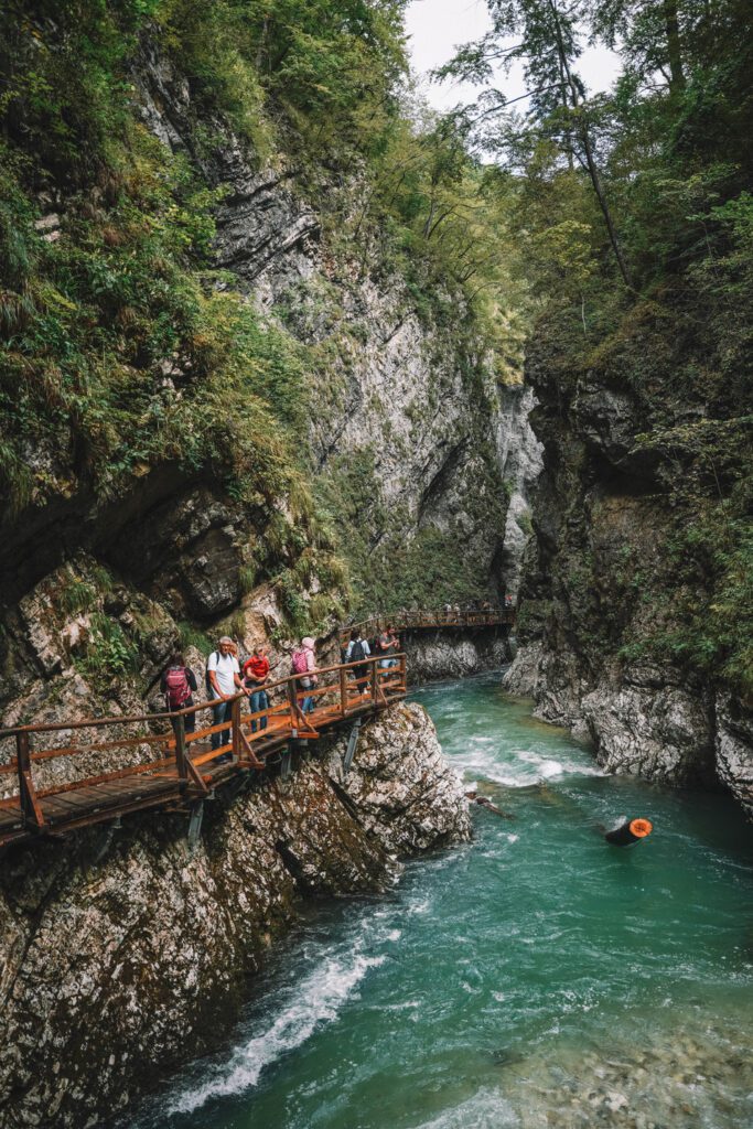green river in slovenia flowing through gorge with wooden bridge