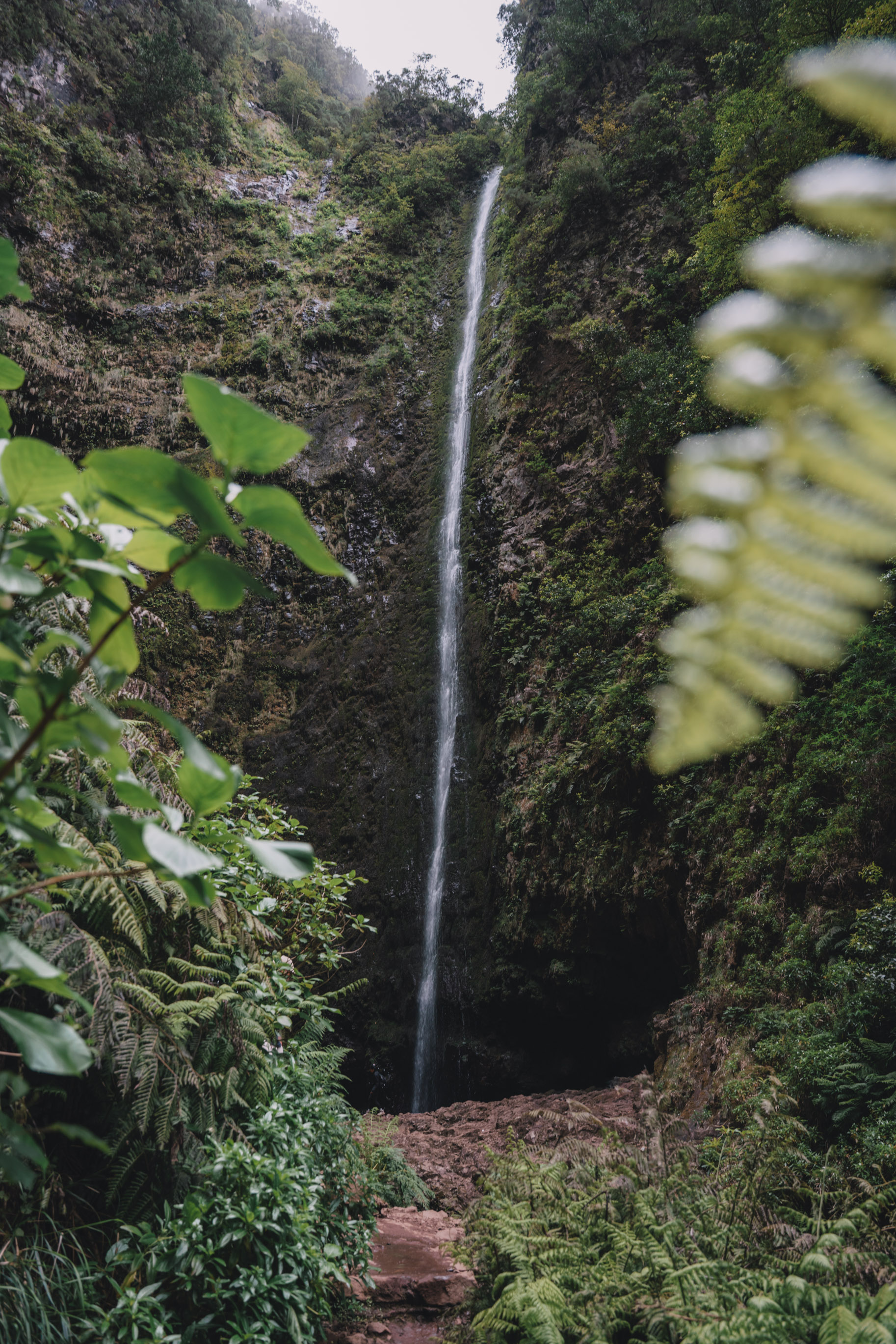 madeira caldeirao verde hike waterfall