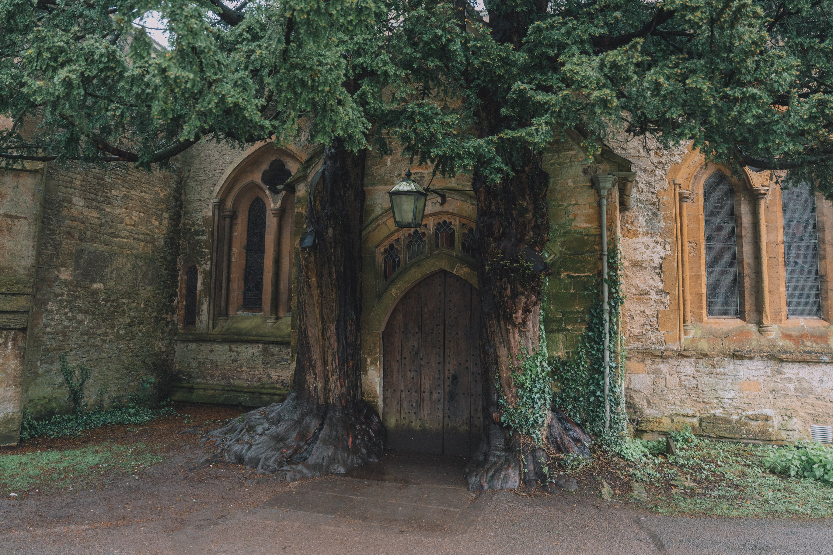 church door in England surrounded by old large yew trees