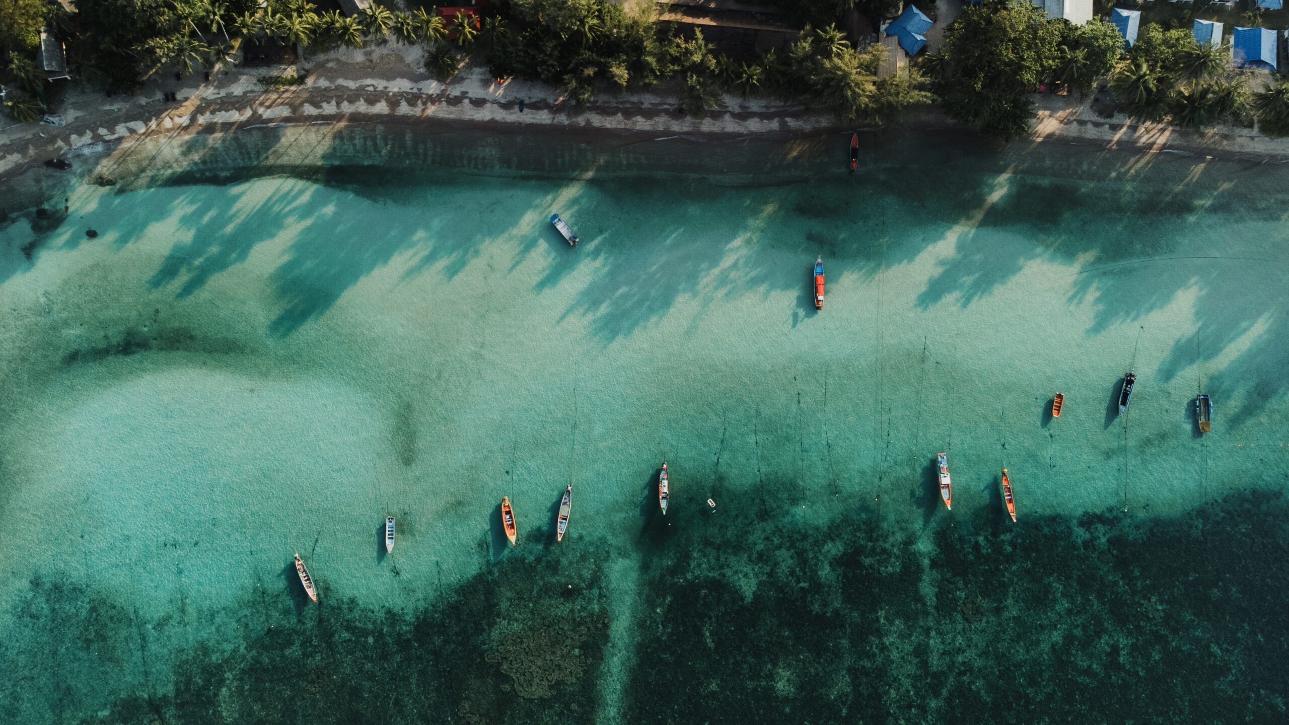 longtail boats floating in blue water off coast of koh tao in thailand