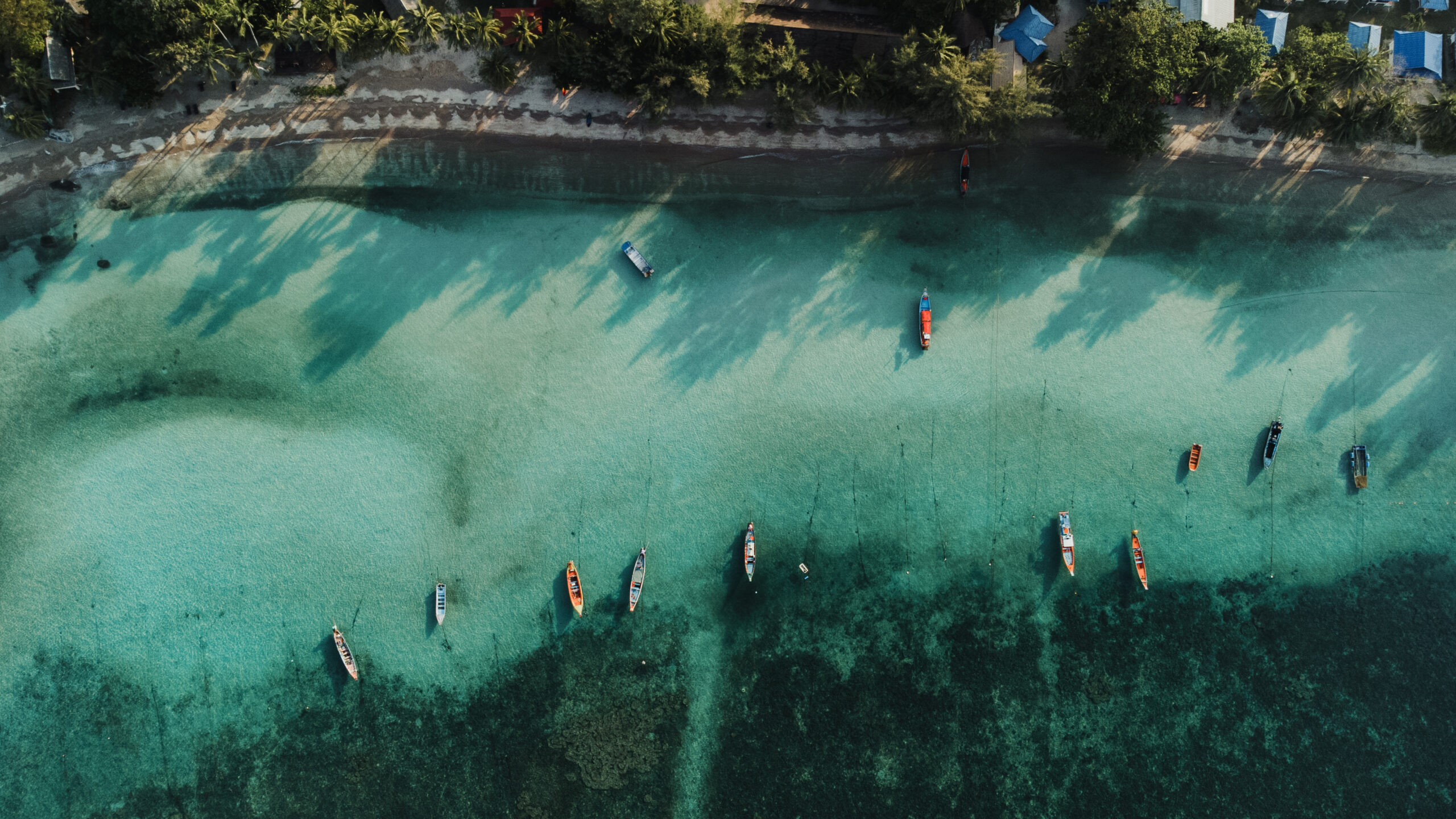long tail boats floating in the water of the coast of Koh Tao Thailand