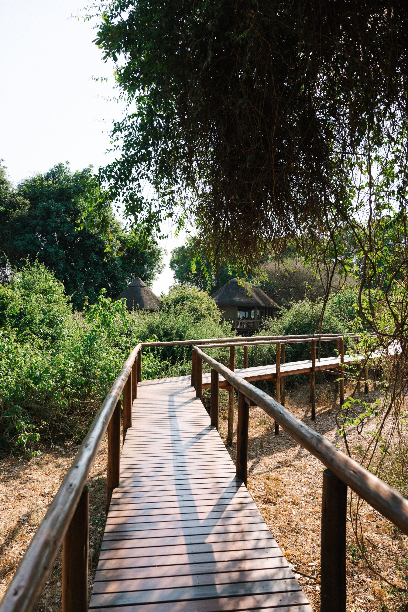 safari lodge in Kruger National Park 10 day South Africa itinerary